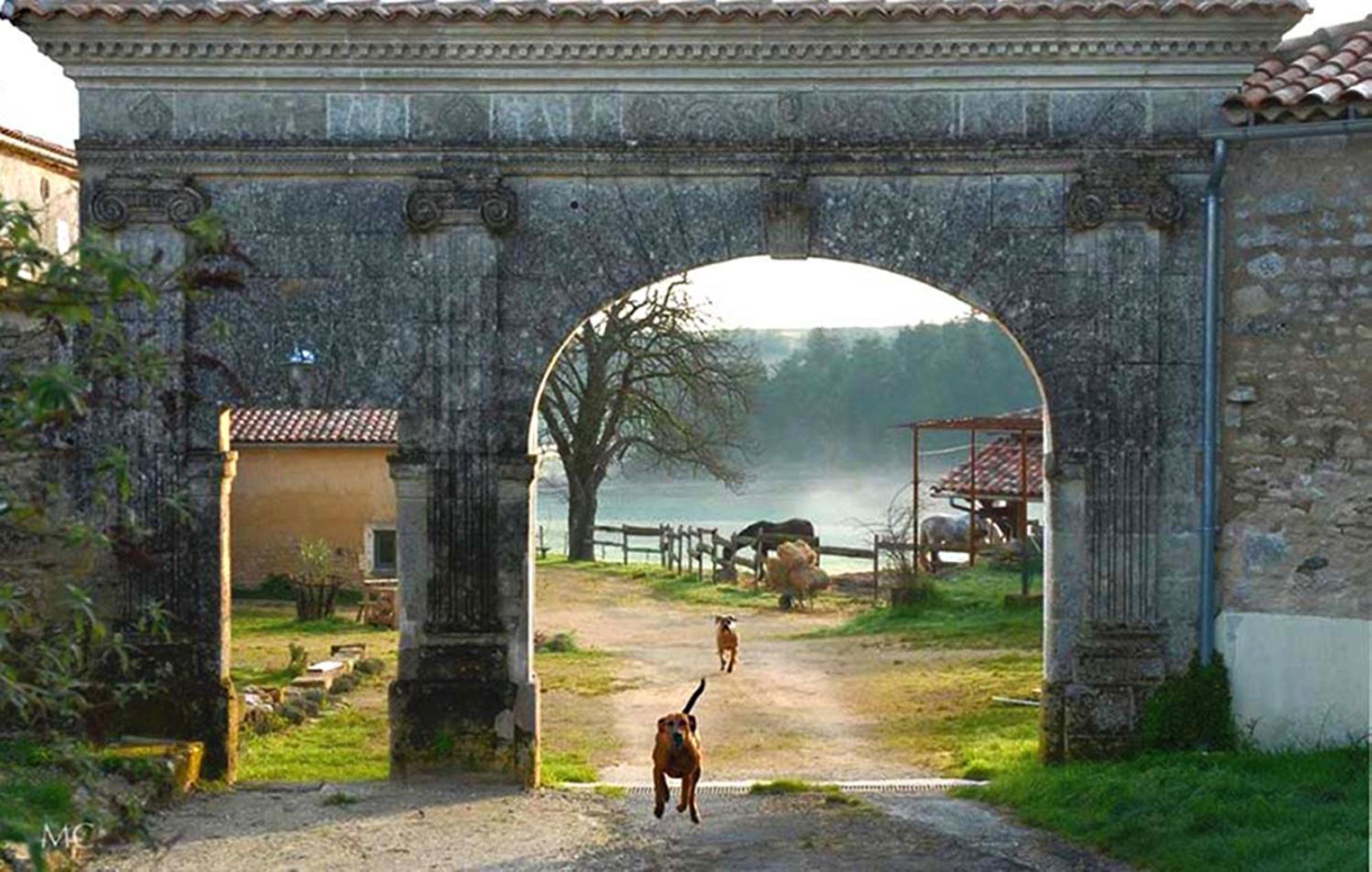 Domaine De Chantemerle B'Nb Marsac  Экстерьер фото